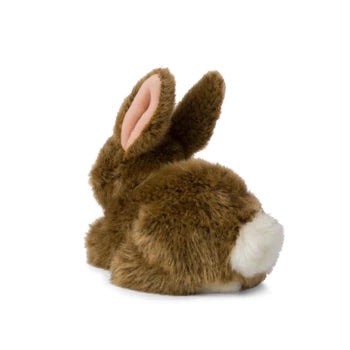 WWF Hase braun liegend