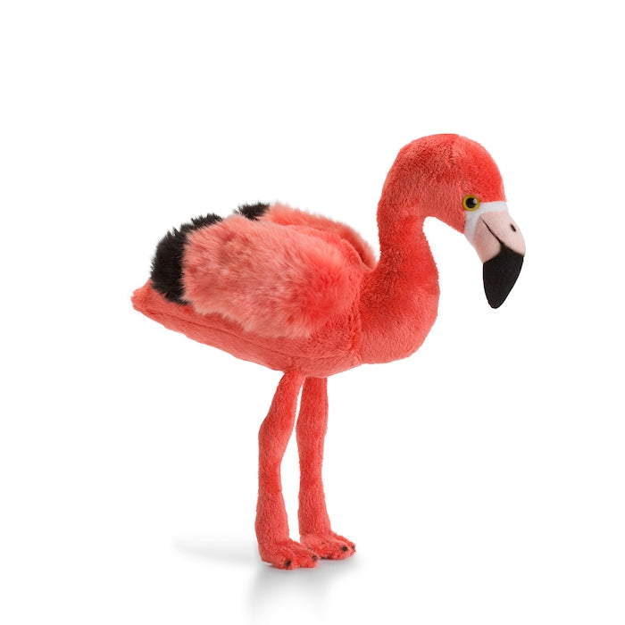 WWF Flamingo