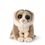 WWF Lori Grau