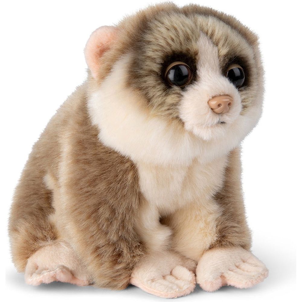 WWF Lori Grau