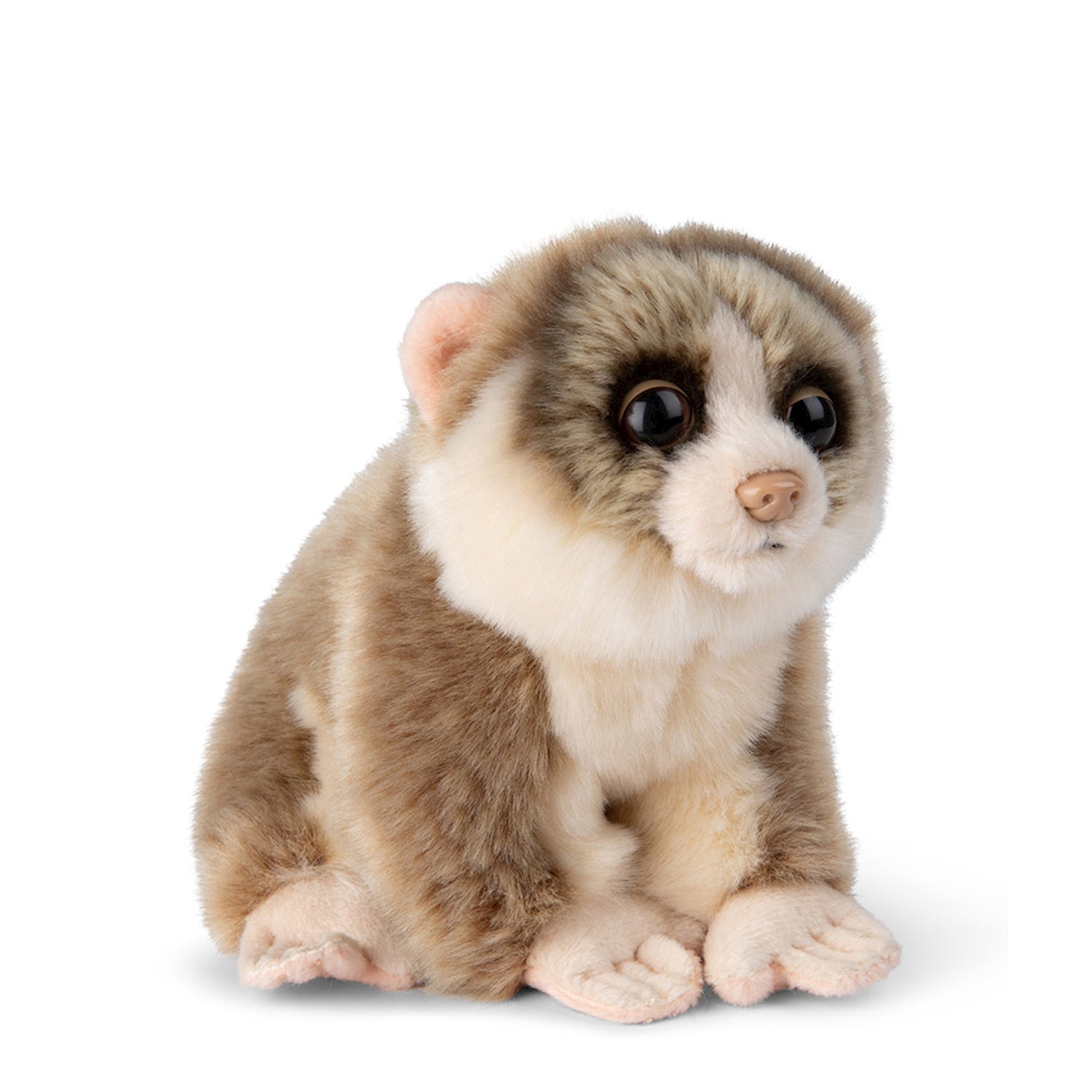 WWF Lori Grau