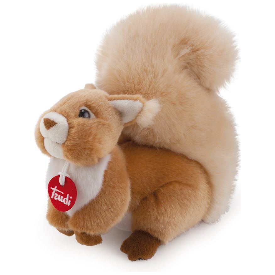Eichhörnchen Ginger