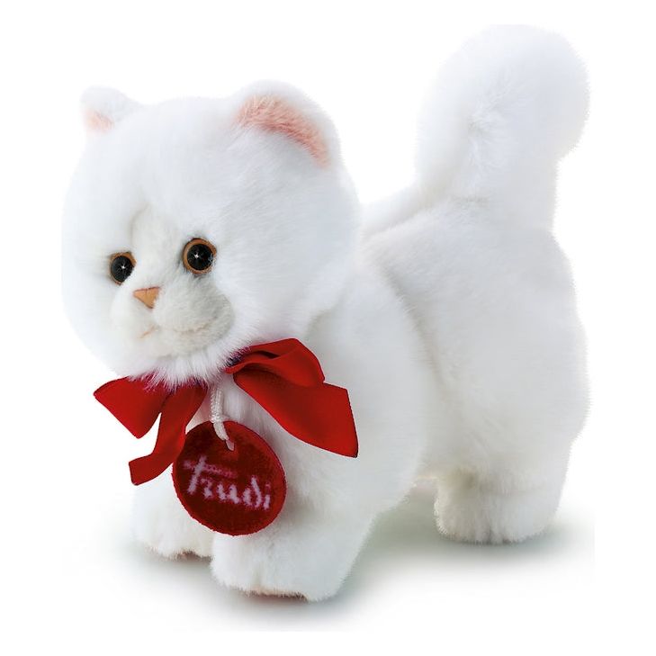 Perserkatze Trudino