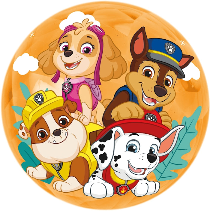 Ball Light Up Paw Patrol