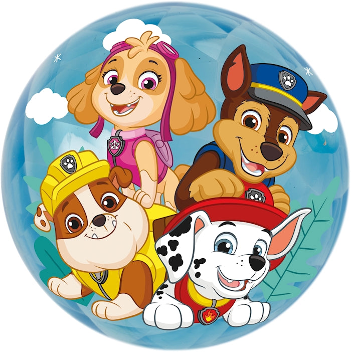 Ball Light Up Paw Patrol