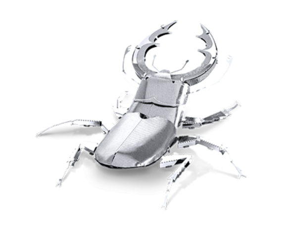 Kit en métal pour scarabée cerf-volant