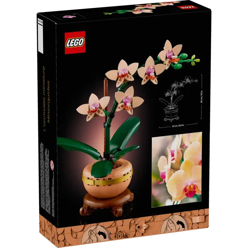 LEGO Botanicals Mini-Orchidee  10343