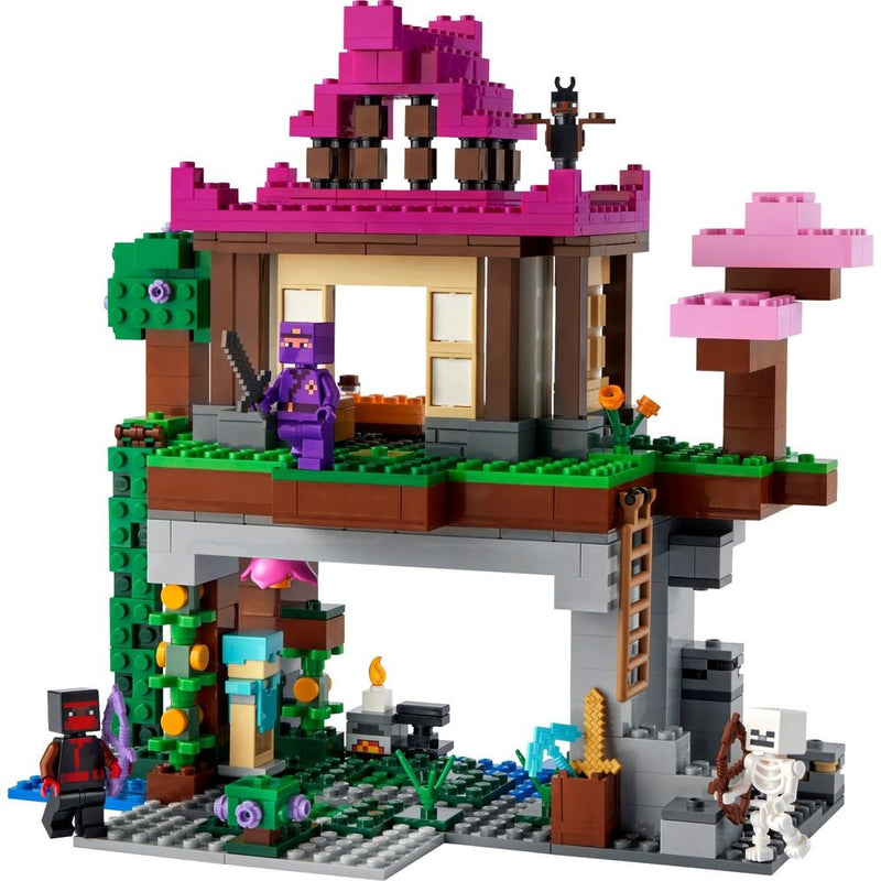 <transcy>LEGO Minecraft Le terrain d'entraînement 21183</transcy>