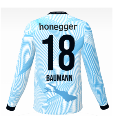 RG17 Fantrikot Feldspieler langarm (Blau)