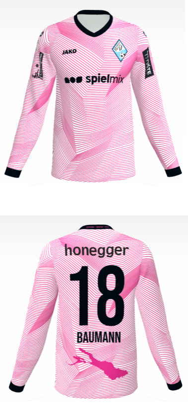 RG17 Fantrikot Feldspieler langarm (Pink)