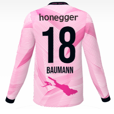 RG17 Fantrikot Feldspieler langarm (Pink)