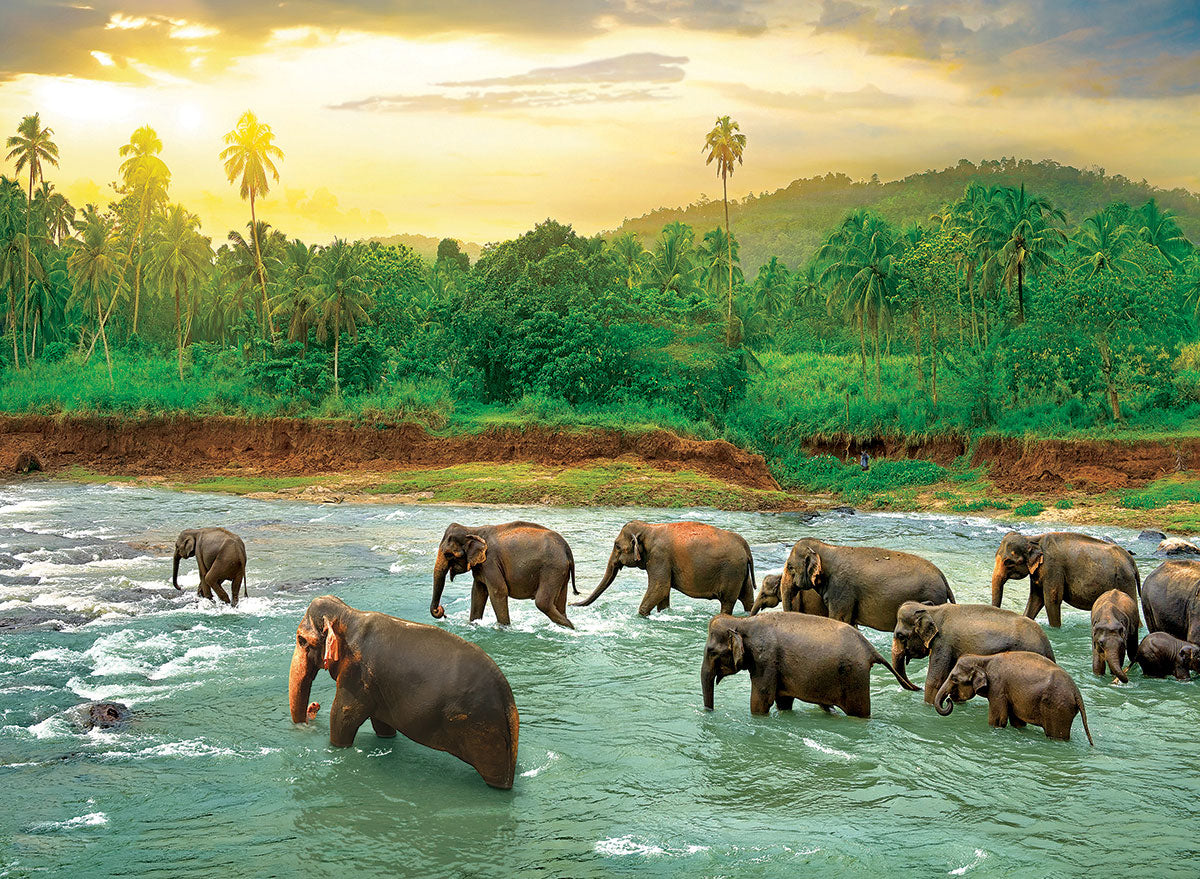 Puzzle - Save the Planet! Regenwald