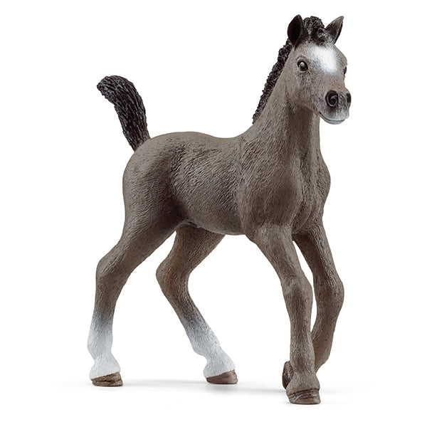 Schleich Cheval de Selle Francais Fohle
