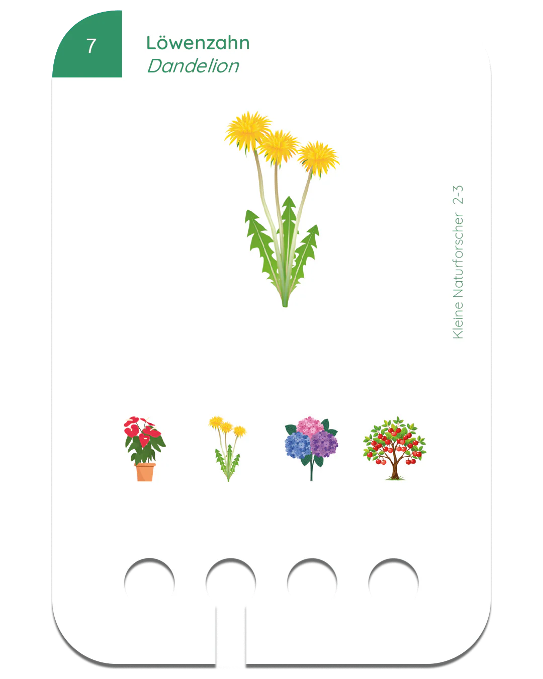 Kölner Lernspielverlag Kleine Naturforscher 2-3