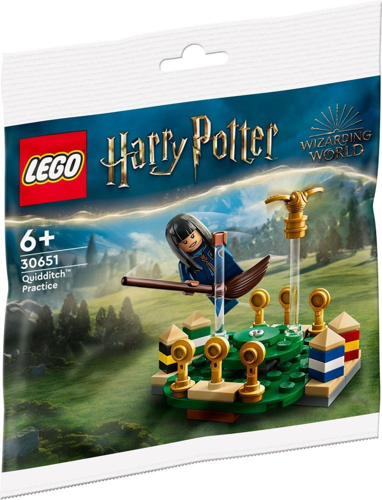 LEGO Harry Potter Quidditch Training 30651