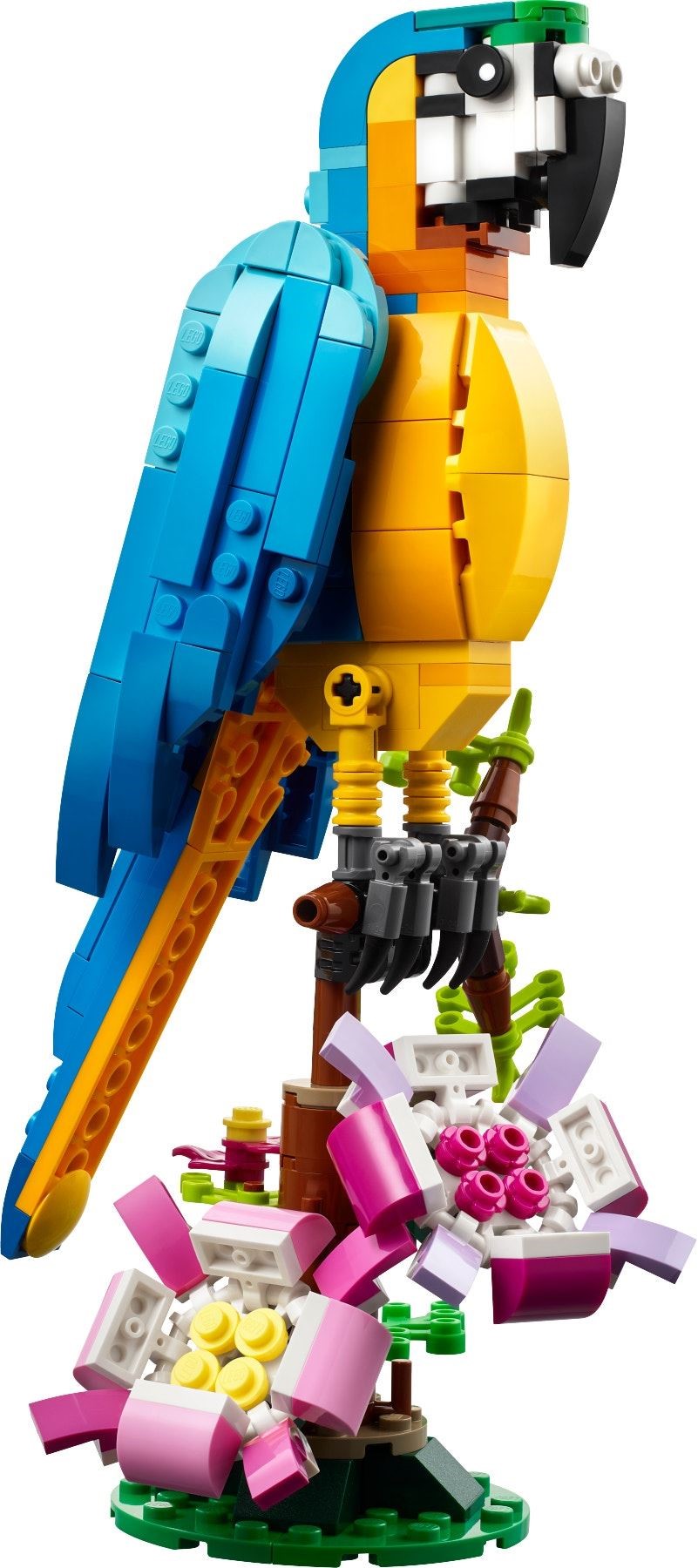 LEGO Creator Exotischer Papagei 31136