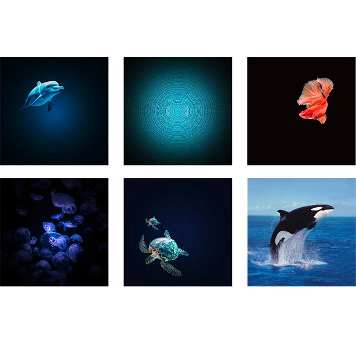 Kidywolf Bluetooth Planetarium Ozean