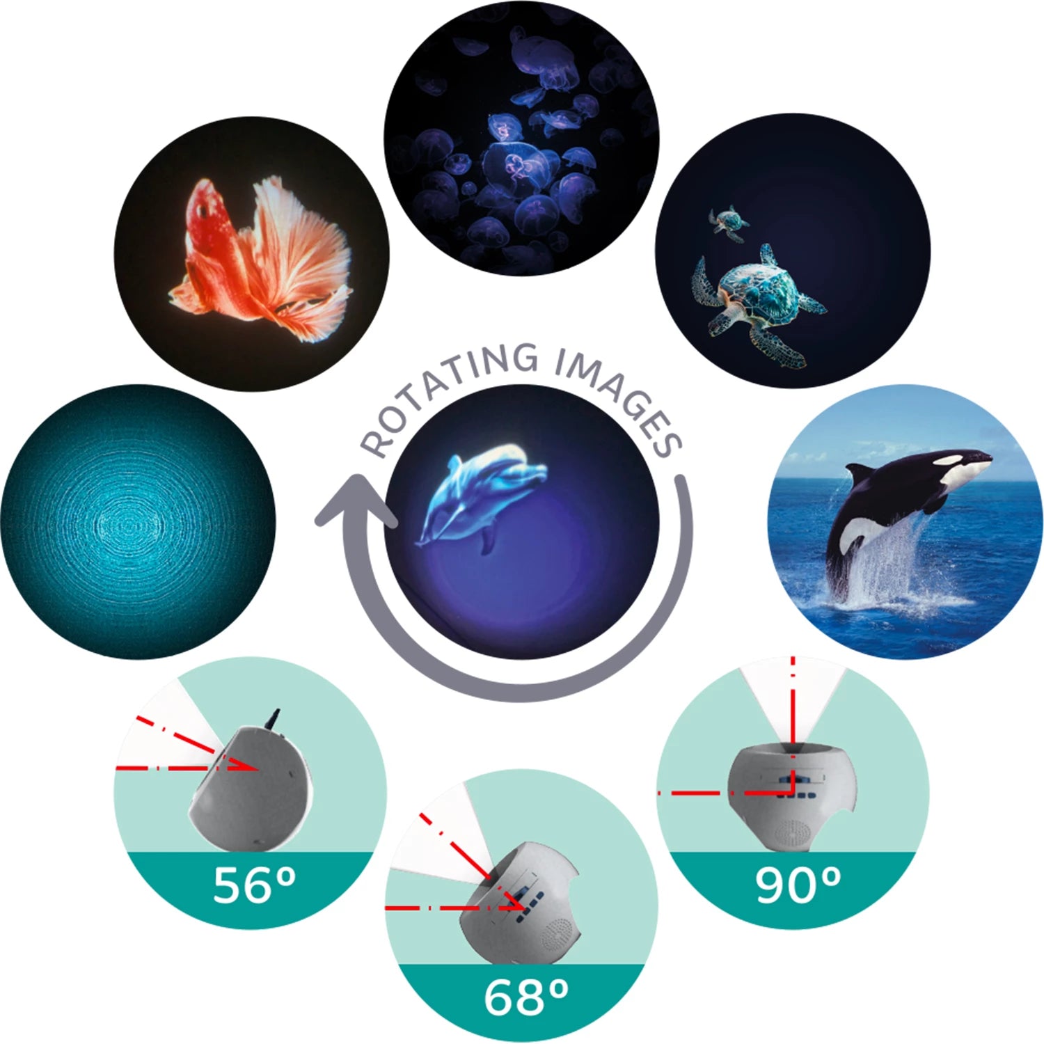 Kidywolf Bluetooth Planetarium Ozean