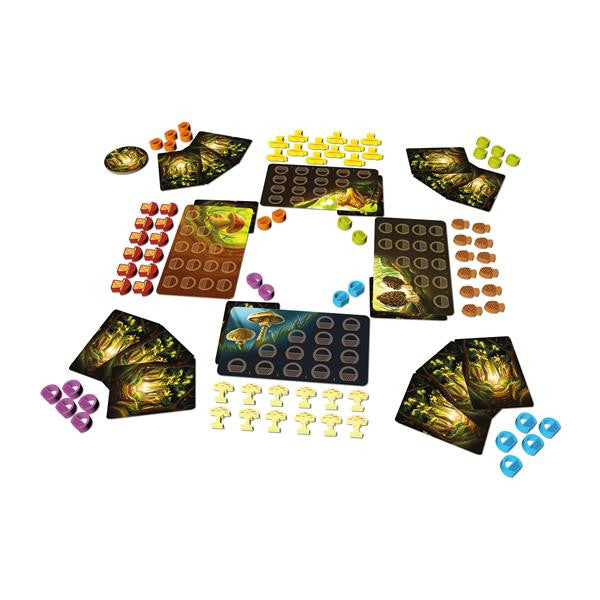 Trésors de la forêt