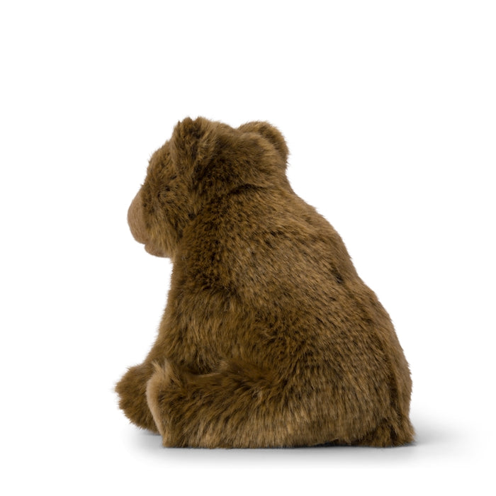 WWF Grizzly Bär Floppy
