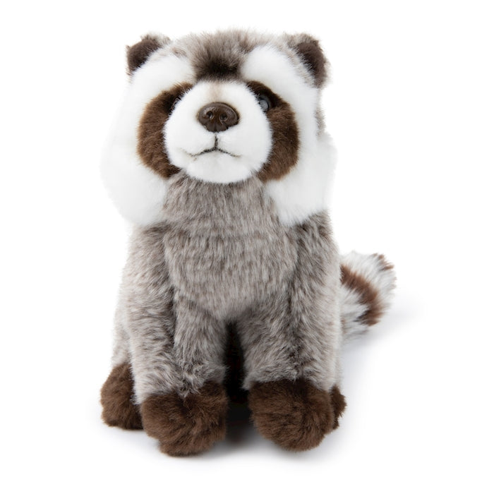 WWF Waschbär