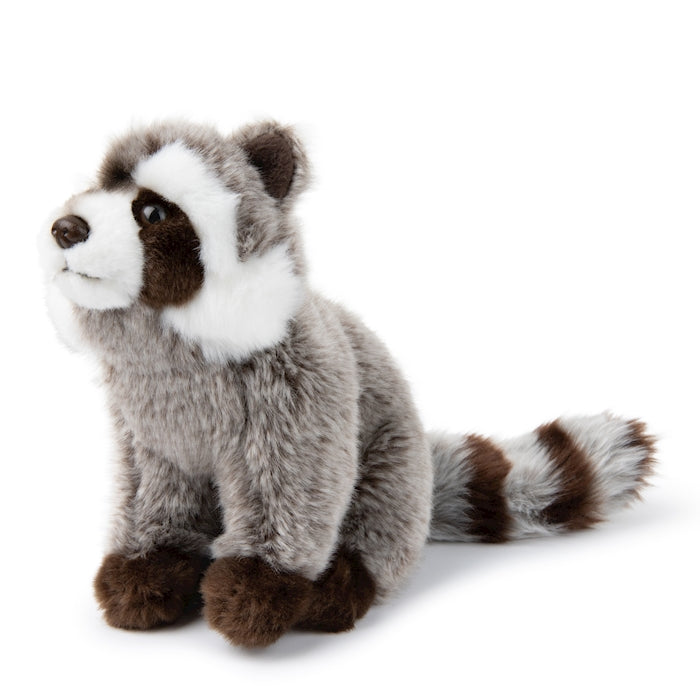 WWF Waschbär