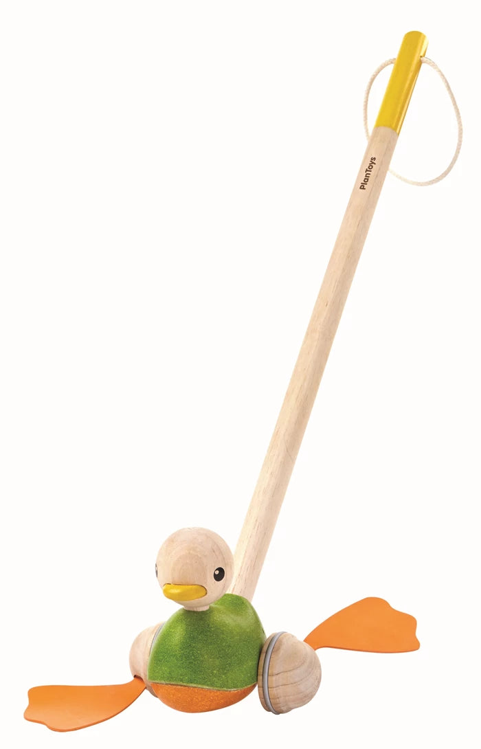 Ente zum Stossen