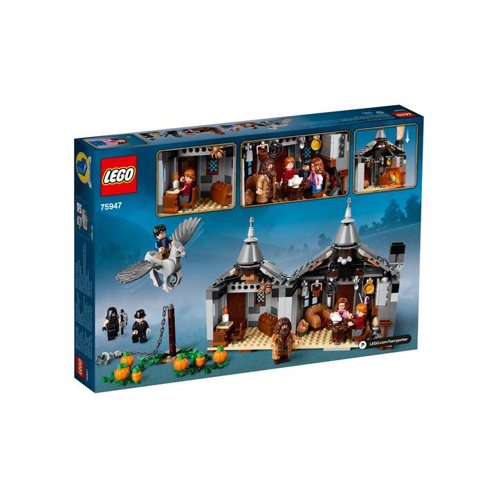 LEGO Harry Potter Hagrids Hütte: Seidenschnabels Rettung 75947