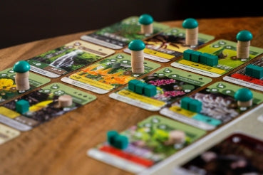 Skellig Games Erde