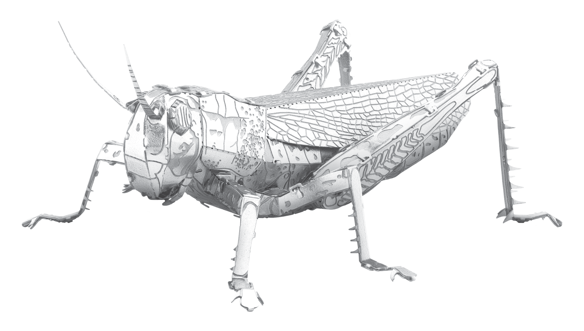 Metal Earth Grasshopper – Metall Bausatz