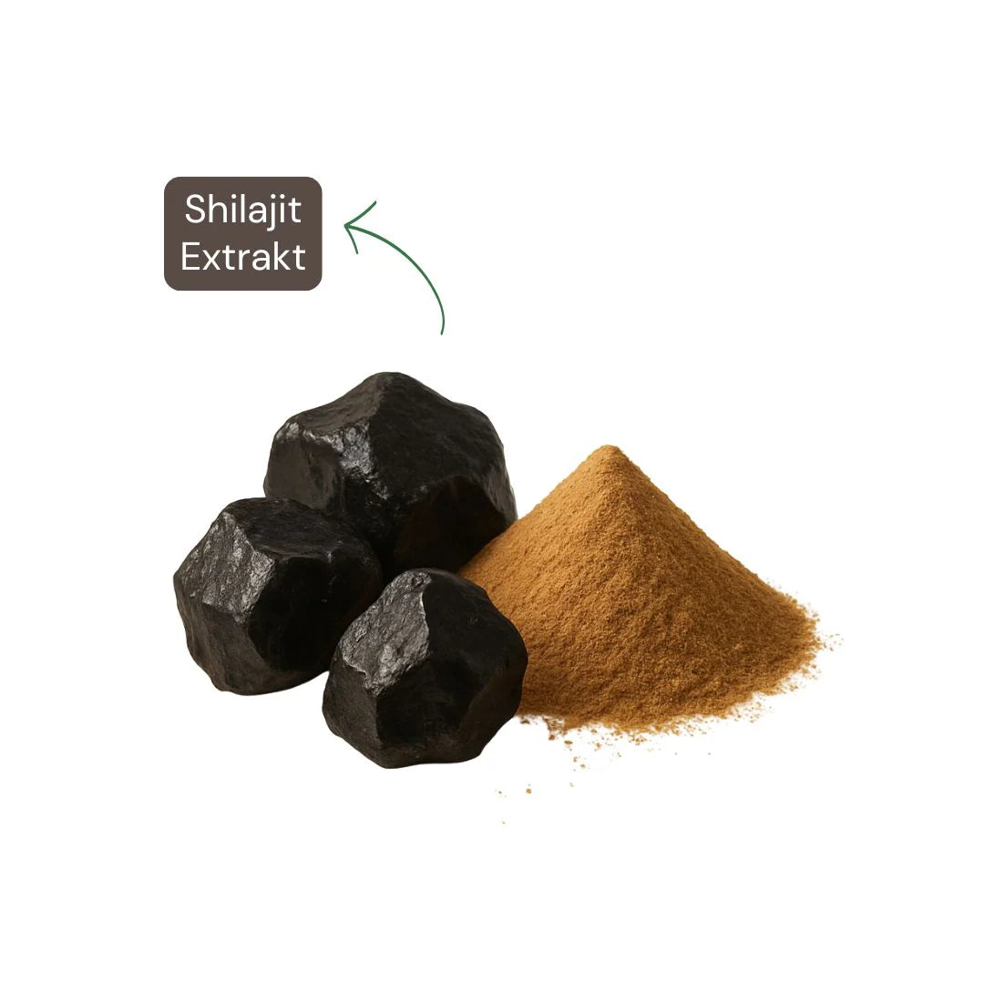 Naturaleza Shilajit Kapseln