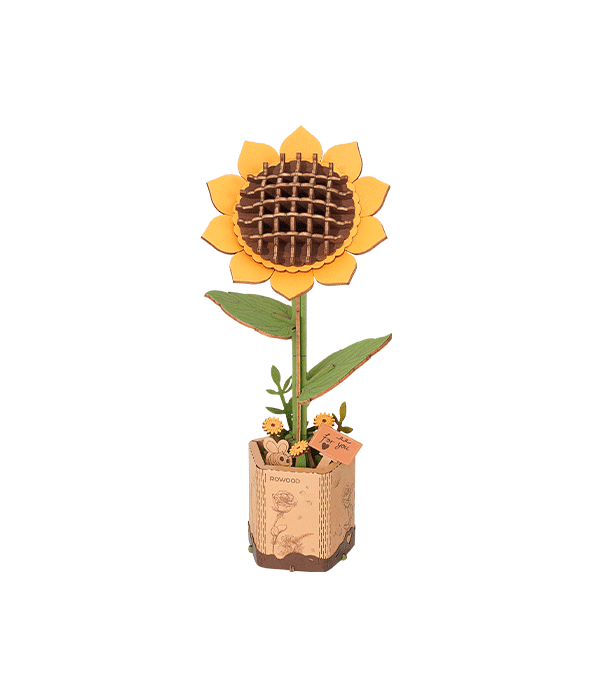 Rowood Sonnenblume