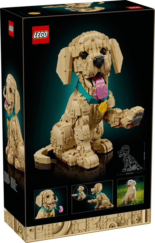 LEGO® Icons Golden Retriever Welpe 11384