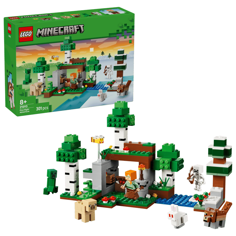 LEGO Minecraft Erstes Abenteuer in der Nacht 21593