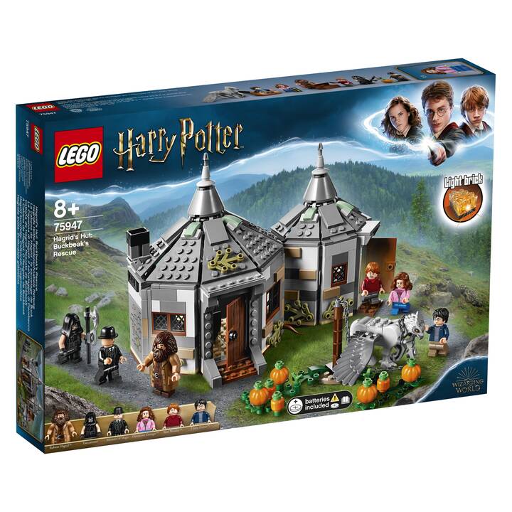 LEGO Harry Potter Hagrids Hütte: Seidenschnabels Rettung 75947