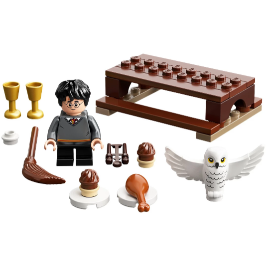 LEGO Harry Potter - Harry Potter und Hedwig Eulenlieferung 30420