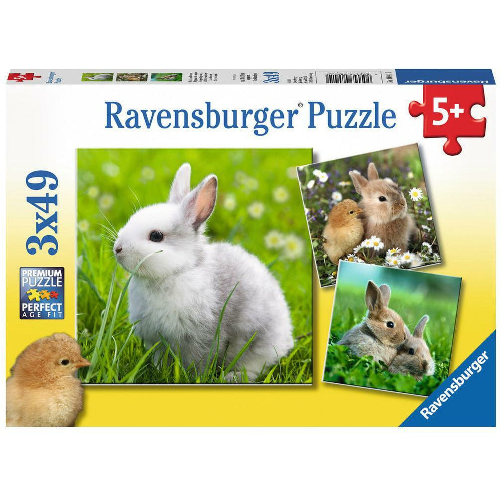 Puzzle mignon lapin