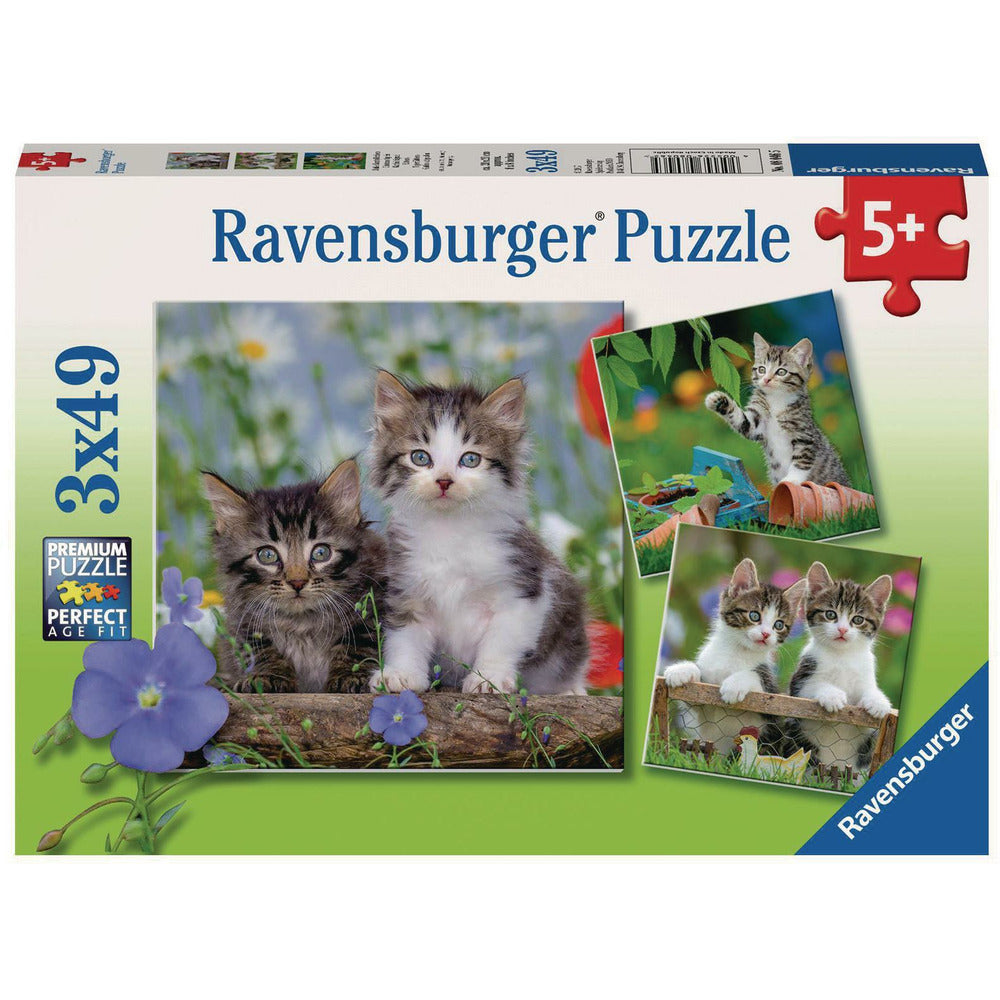 Puzzle Süsse Samtpfötchen